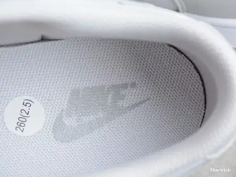 Low Dunk Nike Grey Fog DD1391-103 0610